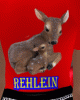 Rehlein10